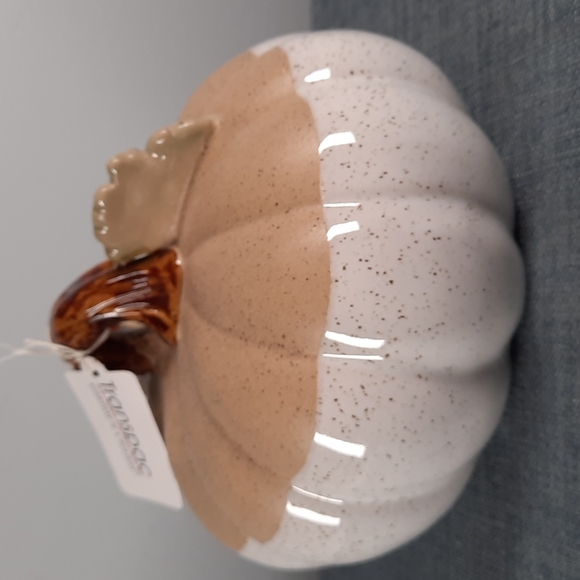 Ceramic Pumpkin Figure Tabletop Decor Fall Harvest Half Glazed White Natural - Picture 3 of 6